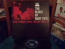 The Blues Of Baby Tate  See What You Done Done - Bluesville  1072