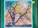 still sealed FAMILY TREE 