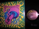 RARE ORIG 1969 ACID ARCHIVES = THE SACRED MUSHROOM = Fuzzed Blues Garage PSYCH