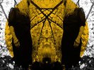 River Ain't Too Much To Love - Smog (2008, Vinyl NEW) Cob400
