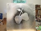 Silver Apples 1st LP electronic rock lp from 1968 Kapp w/rare insert