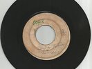 SELECTORS / STAY ON THE TRACK / WANT YOUR LOVE / RARE / 7'' / VG