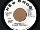 THE FANTASTIC PUZZLES Come Back Part 1 7