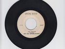 IRON SIDE/JOE GRAZER  -  THE NEW ESTABLISHMENT  (72 REGGAE ROCKERS  7