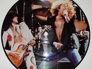 Led Zeppelin - Stairway to Heaven Picture Disc  USA