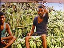DEEP PURPLE - LP    BANANAS