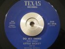 Funk/Soul 45  Little Rickey & Rhythm Express Do My Thing/Black Molly TEXAS Ex