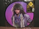 BON JOVI - Slippery When Wet LP NEW picture disc