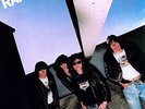 Leave Home - Ramones (2011, Vinyl NUEVO)