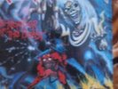 Iron Maiden.....The Number Of The Beast Lp Vinyl