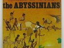Abyssinians 
