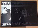 Beastie Boys Check Your Head 4xLP RM, 180 gram vinyl