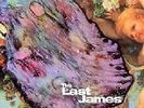THE LAST JAMES - KINDERGARTEN - PSYCH - NEW