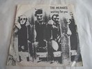 THE MEANIES   WAITING FOR YOU ** 1979 VENDETTA 45