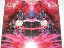 BLUE MOUNTAIN EAGLE Self-Titled lp Orig US Atco SD 33-324 1970 HIPPIE PSYCH FUZZ
