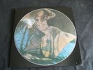 David Bowie Picture disc LP The man who sold the world Dress cover disc NR MINT