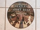 The Beatles Abbey Road Picture Disc LP