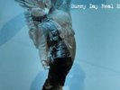 The Rising Tide * by Sunny Day Real Estate (Vinyl, Jun-2000, Time Bomb...