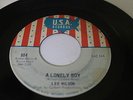 NORTHERN SOUL 45/ LEE WILSON 