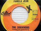 the SURVIVORS aka Brian Wilson & friends Pamela Jean After The Game SURF 45 CC99