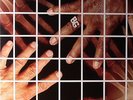 GUY, Buddy - Skin Deep - 2xLP