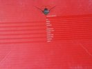 Cocoon Compilation B gut gebraucht 