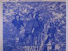 BROTHERHOOD: Stavia LP (Ohio private pressing c. '72) rare Rock & Pop