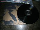 = TRUPPENSTURM - Fields Of Devastation LP