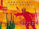 SOMETHING FOR KATE DESERT LIGHTS VINYL LP New
