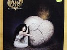 CHER - Heart of Stone - near mint - Vinyl LP - If i could turn back Time - RARE