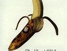 Dead Milkmen Smokin Banana Peels US Ep