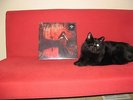 Opeth  Still Life   org