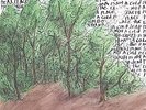 Explosions in the Sky - Earth Is Not a Cold Dead Place