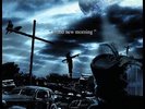 Magnum - Brand New Morning