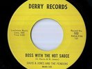 Davis & Jones & The Fenders 
