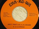D.A.B. Express 45 CHA-RU-WA Ain't That A DAB Shame RARE FUNK LISTEN