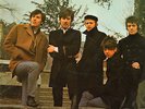 THE HOLLIES - Evolution LP VG 76 307 IT