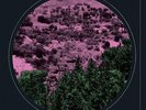 SOFT WALLS-NO TIME-VINYL LP TROUBLE IN NEW