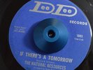 RARE 45 - NATURAL RESOURCES IF THERE'S A TOMORROW NOTHING LAST SWEET SOUL Listen