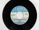 THIRTEENTH FLOOR ELEVATORS - YOU'RE GONNA MISS ME HANNA BARBERA RECORDS HBR-492