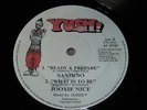 SANDINO-Ready & Prepare VINYL 12