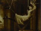 Signify - 2 DISC SET - Porcupine Tree (2011, Vinyl NEUF)
