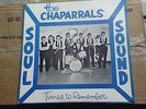 THE CHAPARRALS-TIMES TO REMEMBER-DB RECORDS-ORIG. PA. GARAGE PSYCH.RARE