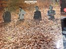 Jellybread - First Slice Vinyl LP Prog Blues Rare Jelly Bread