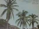 ANIBAL VELAZQUEZ AIRES DE MI TIERRA CUMBIA ACORDEON AFRO LATIN KILLER LISTEN