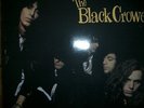 THE BLACK CROWES     -     SHAKE YOUR MONEYMAKER