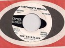 THE SHIRELLES : Last Minute Miracle (Scepter 12198) Orig Northern Soul 45 HEAR