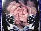 Death in June - Rose Clouds of Holocaust