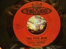 TOTAL ENERGY - FREE YOUR MIND / TELL ME 45 RARE MI GARAGE FUZZ PSYCH