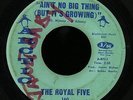 Sweet Soul 45   Royal Five   Ain't No Big Thing   Arctic   mp3